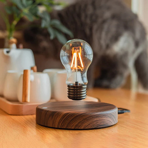 Magnetic levitation bulb night light/ambience light-SIM10